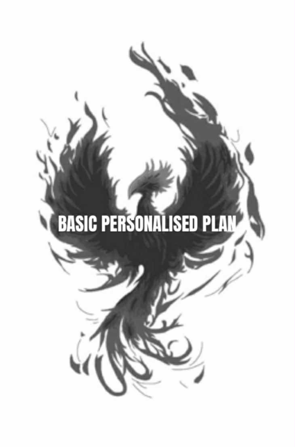 Basic Personalised Plan