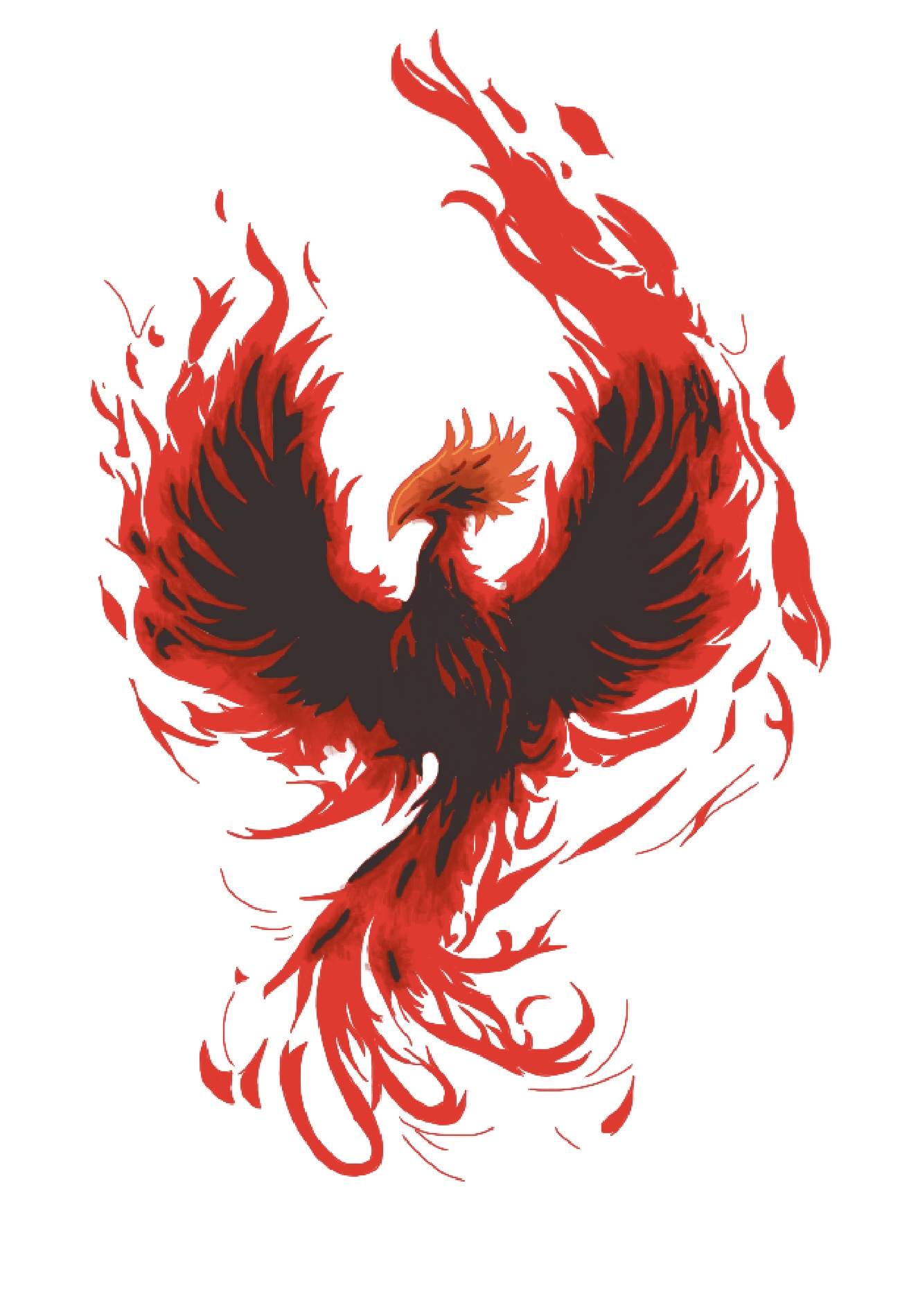 Phoenix Reborn